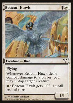 Beacon Hawk